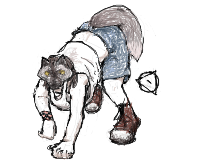 image46